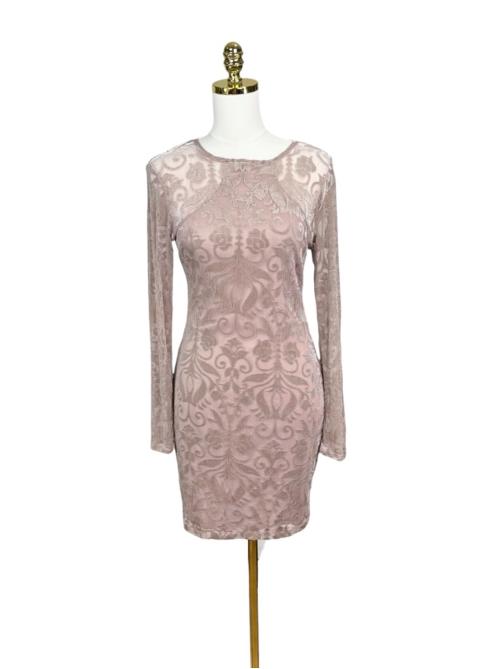 NWT Windsor mesh and velvet blush beige in color size L